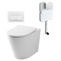 Renee Rimless In-wall Toilet Suite S&P Trap with Square ABS Matte White Button 