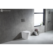 Java Rimless In-wall Toilet Suite S&P Trap with Round Metal Gun Metal Button 