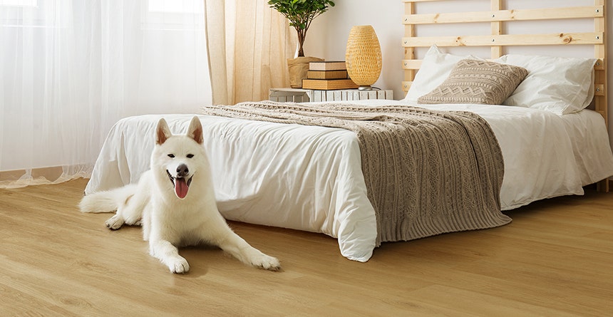 Light-filled bedroom with Ava Blonde Oak SPC Core hybrid flooring and a white dog relaxing beside a wooden bed.