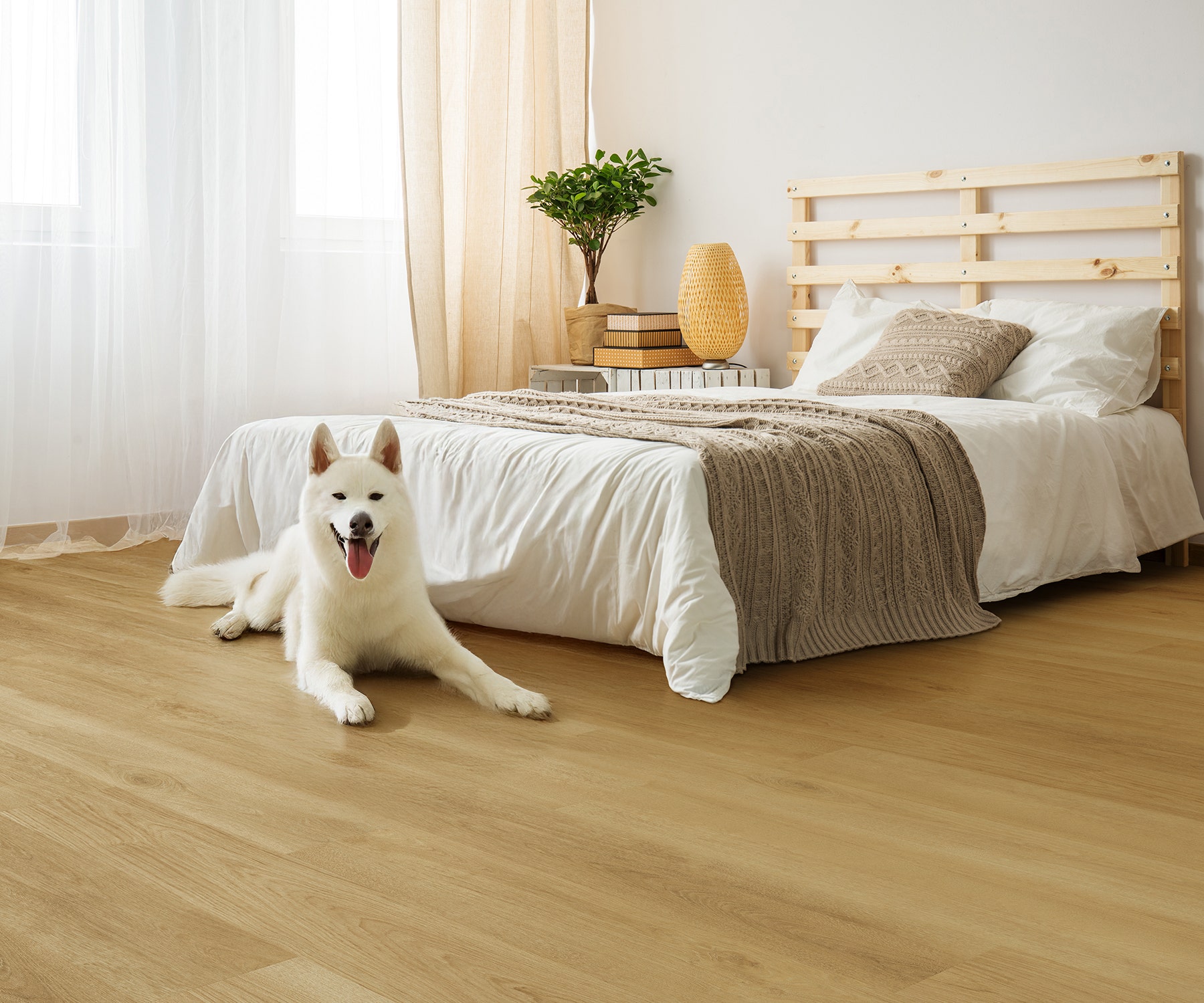 Ava Blonde Oak SPC Core hybrid flooring in a cosy bedroom with a relaxed, pet-friendly vibe Light-filled bedroom with Ava Blonde Oak SPC Core hybrid flooring and a white dog relaxing beside a wooden bed.